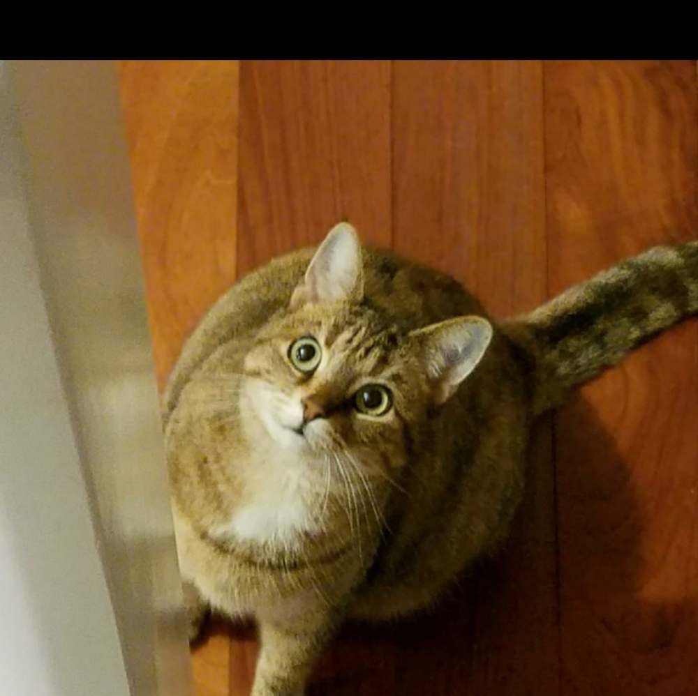 Meet your Posher, Heather